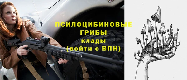 гашик Осташков