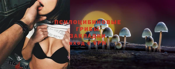 тгк Алексин
