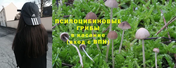 круглые Армянск