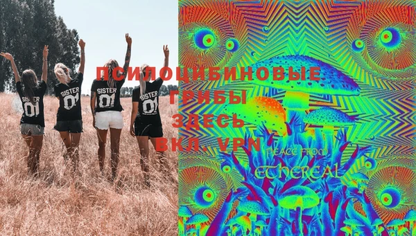 тгк Алексин